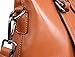Heshe Women's Handbags Stuctured Shoulder Tote Cross Body Bags Purses for Ladies (Brown-R)