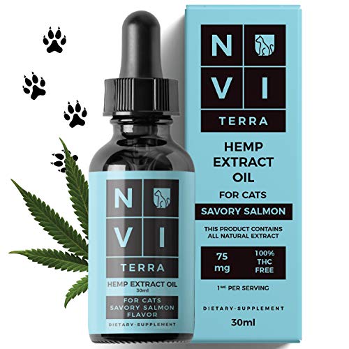 Best Cat Hip & Joint Care Buying Guide GistGear