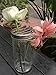 Shiny Metal Flower Frog Lid Insert for Transform Mason, Ball, Canning Jars, 6-pack (Wide Mouth)