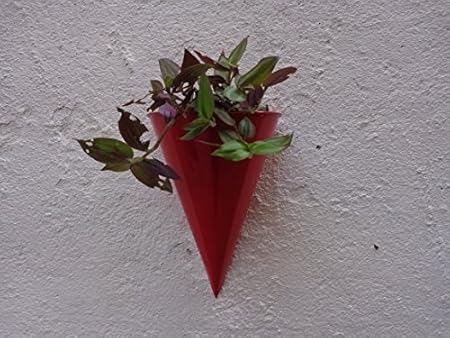 Green Gardenia Half Cone Wall Planter-Green (Red)