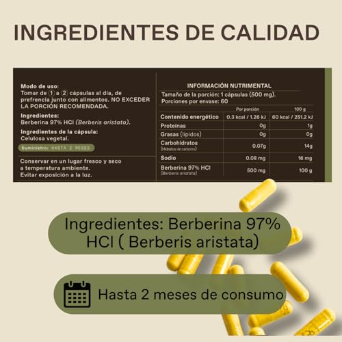 Unruled - Berberina 500mg Capsulas | Alta Pureza HCl al 97% | Suplemento Alimenticio Natural, Sin Rellenos | 60 Capsulas Veganas | Hasta 2 Meses de Consumo