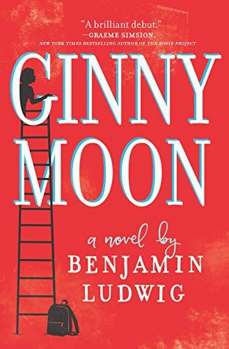 Ginny Moon: A Novel