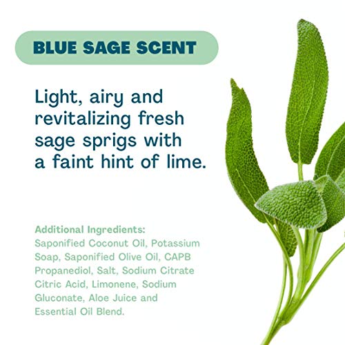 Cleancult Dish Soap Refill, Natural Ingredients, Blue Sage Scent, 32 oz, Cruelty Free, Degreaser