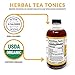 Teaonic Spiced Chai Herbal Tea - I Love my Gut For Digestion (12 Pack)