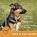 Friends Forever Extremely Durable Dog Rope Leash, Premium Quality Training Slip Lead, Reflective, Thick Heavy Duty, Sturdy, No Pull, Comfortable For The Strong Large Medium Small Pets 6 feet, Red