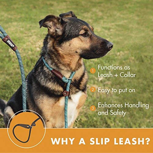 Friends Forever Extremely Durable Dog Rope Leash, Premium Quality Mountain Climbing Rope Lead, Strong, Sturdy Comfortable Leash Supports The Strongest Pulling Large Medium Dogs 6 feet, Black