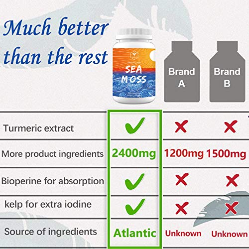 Irish Sea Moss Capsules Organic Bladderwrack Burdock Root for Women & Men Seamoss Supplements Improved Absorption with Turmeric, Non-GMO, Vegan, No Fillers, Per Over 2400Mg 60 Capsules