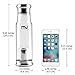 MIU COLOR Glass Water Bottle - BPA-Free Bottle with Infuser and Nylon Sleeve, 18 Ounce, Grey