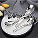 CocoKool Soup Spoons, Premium Stainless Steel Japanese Soup Spoon, Widely-Used Metal Soup Spoons, Durable Stainless Soup Spoons, Thick Heavy-Weight Ramen Spoon with Modern Look, Set of 6 (Silver)