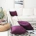 Home Brilliant Dark Purple Velvet Square Pillowcase Decorative Throw Pillow Cover for Bed Couch Sofa Car Dorm, 18x18 inch (45x45 cm), Eggplant