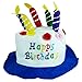 Birthday Hat - Birthday Cake Hat - Happy Birthday Hat - (Hat & Birthday Candles) by Funny Party Hats