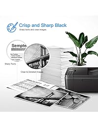 Canon cartuchos reciclados 245XL y 246XL