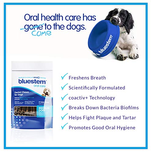 Dog Dental Chews: Rawhide Free Treat Teeth Cleaning Sticks for ALL Breed of Small & Medium to Large Dogs. Brushing Chew Stick Treats Plaque Tartar & Bad Breath. Healthy Pet Food Supplies MADE IN USA