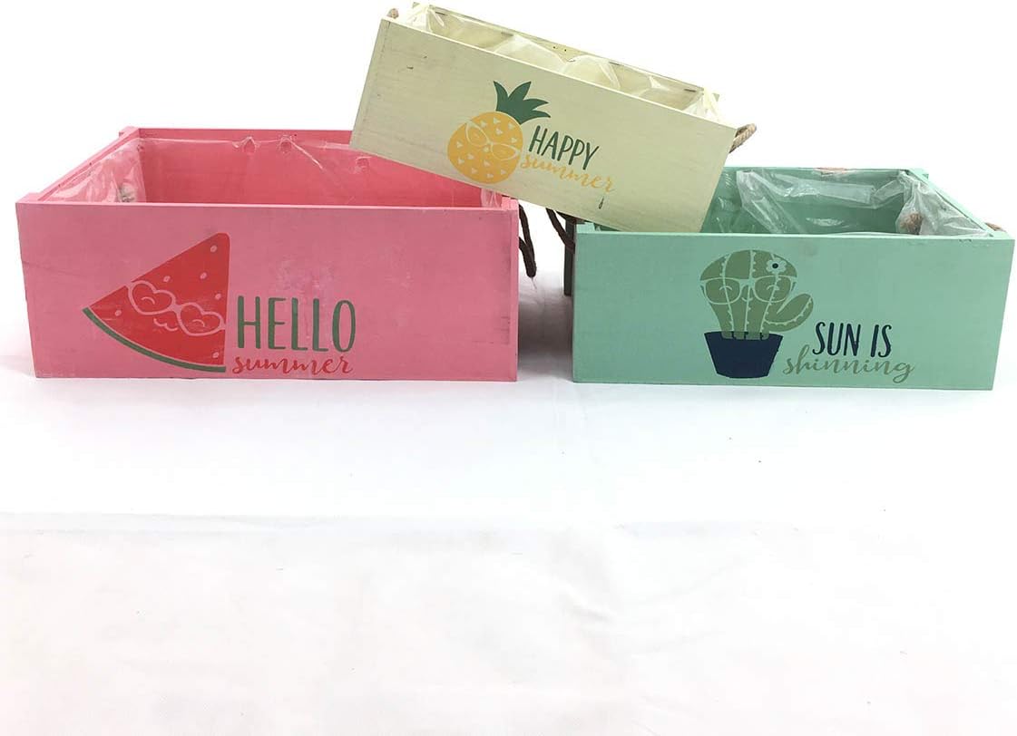 Tres Cajas Summer rectangulares con diseños y Colores Surtidos: Amazon.es: Hogar