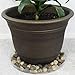 YOUniversal Products Plant Saucers (Pack of 5) - 14” Clear Durable Plant Saucer for Indoor & All-Weather Outdoor Use - Catch Dirt & Water from Plant Pots to Stop Messes & Stains in Your Home & Garden
