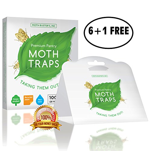 Moth Busters (7) Pantry Moth Traps Safe Non-Toxic Professional Pheromone Trap NO Insecticides (6 + 1 Free!)