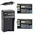 DSTE (2-Pack) D-Li109 Battery and Travel Charger Kit Compatible with Pentax K-R K-30 K-50 K-500 KR K30 K50 K500 K-S1 K-S2 K-70 Camera