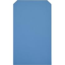 on BLUE6周年 書き下ろしリーフレットB Amazon.com : Exhibitindexes® Blue Manuscript top Bound