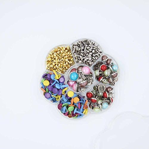 556pcs Multicolor Pearl Brads Scrapbooking Card Making Wedding Craft Box Brad