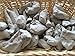 Uclays Gray Clay Pressed Chunks (lump) Natural for Eating (Food), 1 lb (450 g)