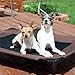 K&H Pet Products Original Pet Cot Elevated Dog Cot Bed Chocolate/Black Mesh Large 30 X 42 X 7 Inches