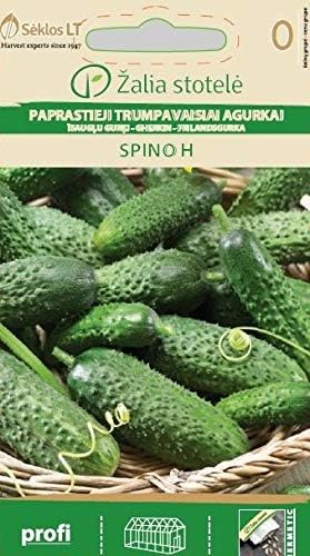 Seklos LT Cucumber Gherkin Spino H Seed - 15 Seeds