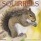 Squirrels 2020 Wall Calendar by 