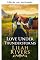 Livro Amor sob tempestades