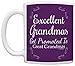 Great Grandma Gifts Excellent Grandmas Get Promoted to Great Grandma Gift 11oz Ceramic Coffee Mug with Handle