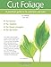 Cut Foliage: A practical guide to its selection and care