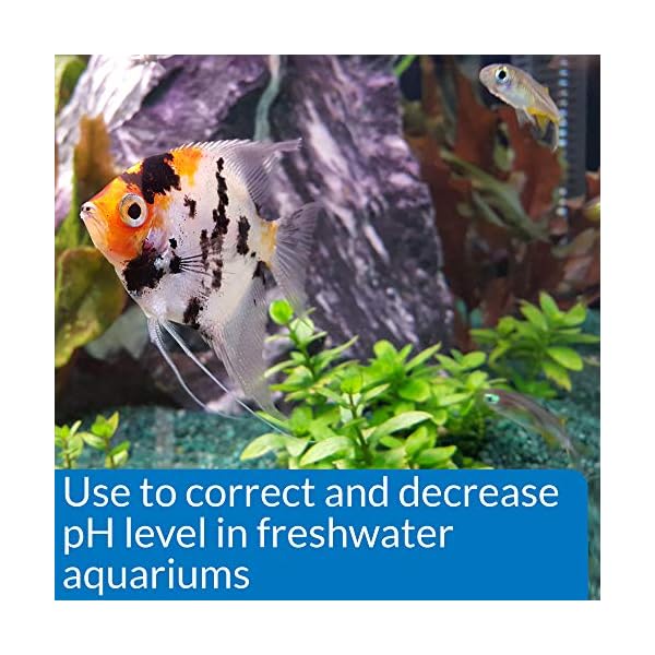 API-pH-DOWN-Freshwater-Aquarium-Water-pH-Reducing-Solution-118-ml-Bottle API pH UP Freshwater Aquarium Water pH Raising Solution 1.25-Ounce Bottle