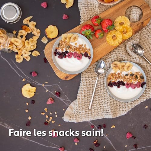 VITA5 Food Dehydrator 6 Stainless Steel Trays 650 W Timer 24 H | Prepare Apple Chips Dried Fruits and Aromatic Herbs with Accurate Temperature and Even Drying
