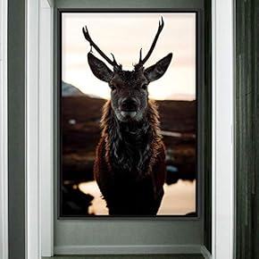 signwin Framed Canvas Wall Art Deer Animals Deer...