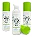 Babyganics Alcohol-Free Foaming Hand Sanitizer, Fragrance Free, On-The-Go, Pump Bottle 50 ml - 1.69 Fl Oz (Pack of 3)