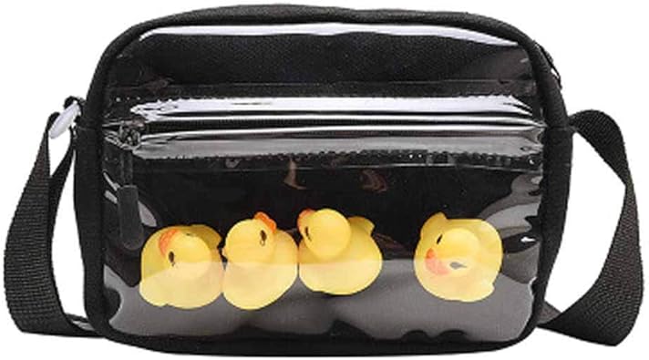 small clear coin purse