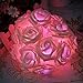 Leegoal Rose Flower Fairy String Lights 20LED Wedding Garden Party Christmas Decoration(White with pink light)