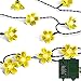 easyDecor Solar Powered String Lights 100 LED 33ft Waterproof Flexible Copper Wire Starry String Lights for Christmas Outdoor Patio Path Party Lawn Garden Wedding Party Holiday Decoration (Blossom)