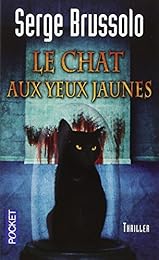 Le  chat aux yeux jaunes