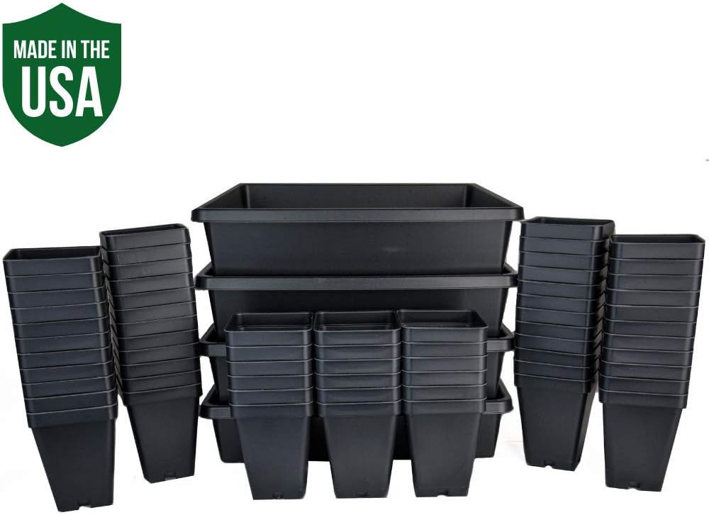 nursery starter package