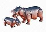 Hippo with Baby