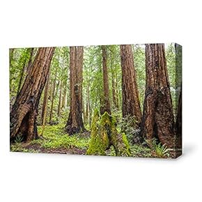 SIGNFORD Canvas Wall Art for Living Room,Bedroom Home...