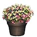 Capello Planter, 15.5