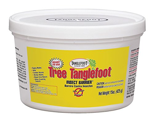 Tanglefoot Bundle 2 Products Tree Insect Barrier Tub + 8-Ounce Tangle-Trap Brush On Sticky Trap Coating