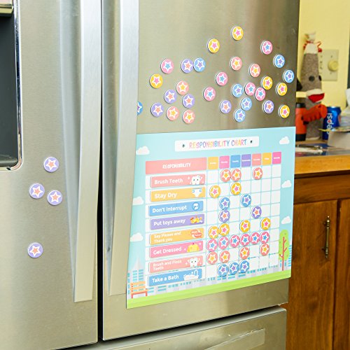 5 pneat+Behavior+Magnetic+Responsibility+Refrigerator