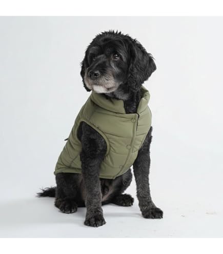 Amazon.com : Zack & Zoey Nor'Easter Blanket Coat, Medium, Dark Red