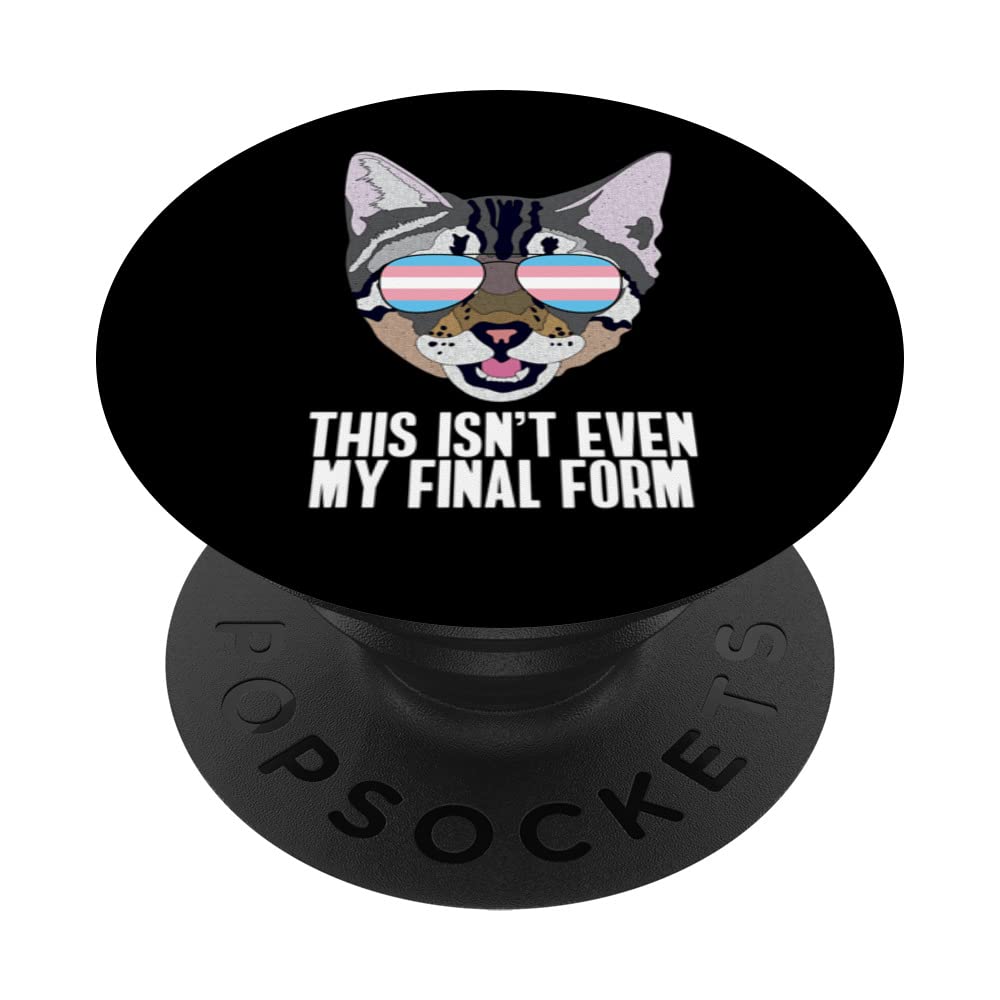 This Isn't Even My Final Form | Funny Cat Trans Pride PopSockets Swappable PopGrip