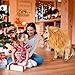 VIVREAL Lion Mane Costume for Dog - Lion Dog Costume Funny Adjustable Lion Wig Easy to Fit Medium to Large Sized Dog for Halloween Christmas Party with Ears,Large Dog Costume for Pet as Lion King