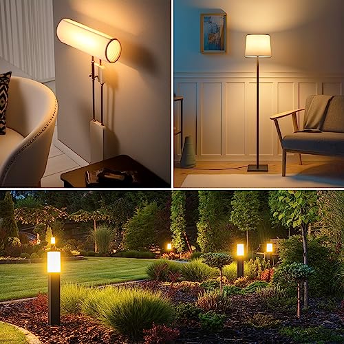Tomosu 6 Pack R7s Halogen Bulb 118mm 230W Dimmable 230V 4650lm 2800k Warm White Energy Saving Tungsten Linear Bulbs Floodlight J118 Security Light Bulb