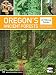 Oregon's Ancient Forests: A Hiking Guide by Oregon Wild