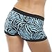 GILBIN'S Women Seamless Stretch Boy Shorts Panties Various Styles (Pack of 6)Zebra, One Size